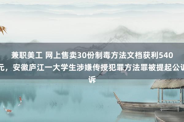 兼职美工 网上售卖30份制毒方法文档获利540元，安徽庐江一大学生涉嫌传授犯罪方法罪被提起公诉