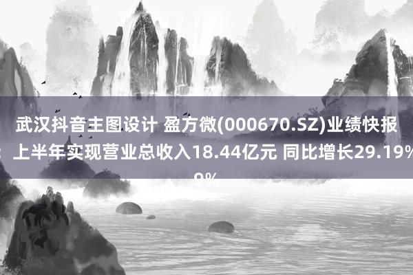 武汉抖音主图设计 盈方微(000670.SZ)业绩快报：上半年实现营业总收入18.44亿元 同比增长29.19%